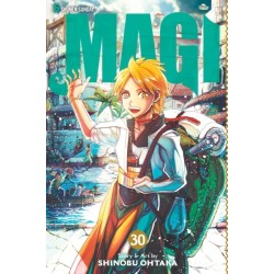 Magi: The Labyrinth of Magic, Vol. 30: The Labyrinth of Magic