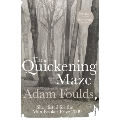 The Quickening Maze