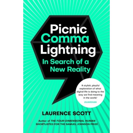 Picnic Comma Lightning: In Search of a New Reality