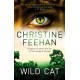 Wild Cat