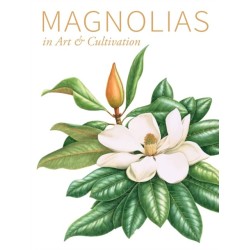 Magnolias