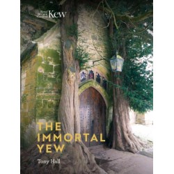 The Immortal Yew, The