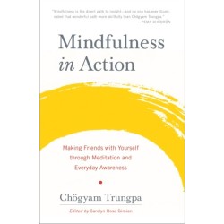 Mindfulness in Action: Making Friends with Yourself through Meditation and Everyday Awareness
