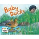 Baby Ducks