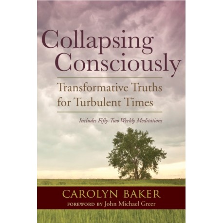 Collapsing Consciously: Transformative Truths for Turbulent Times