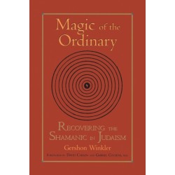 Magic of the Ordinary: Recovering the Shamanic in Judaism