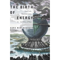 The Birth of Energy: Fossil Fuels, Thermodynamics, and the Politics of Work