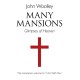 Many Mansions – A companion volume to I Am With You: The Companion Volume to "I am with You"