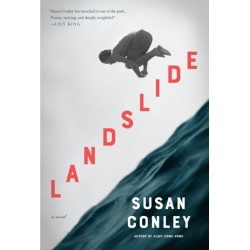 Landslide: A Novel