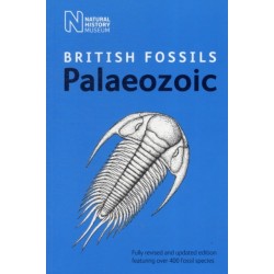 British Palaeozoic Fossils
