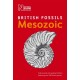 British Mesozoic Fossils