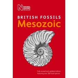 British Mesozoic Fossils