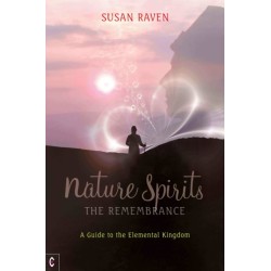 Nature Spirits: The Remembrance: A Guide to the Elemental Kingdom