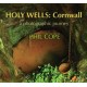 Holy Wells: Cornwall: A Photographic Journey