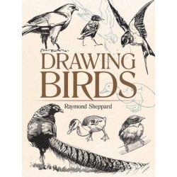 Drawing Birds