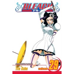Bleach, Vol. 29: The Slashing Opera