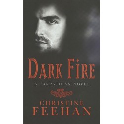 Dark Fire: Number 6 in series