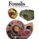Fossils: 300 of the Earth's Fossilized Species