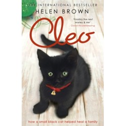 Cleo: How a small black cat helped heal a family