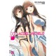Accel World, Vol. 17 (light novel)