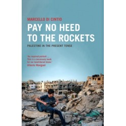 Pay No Heed to the Rockets: Palestine in the Present Tense