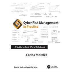 Cyber Risk Management in Practice: A Guide to Real-World Solutions