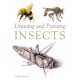 Drawing and Painting Insects