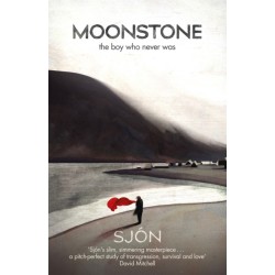Moonstone: The Boy Who Never Was: 'A brief, brilliant jewel of a book' Guardian