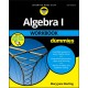 Algebra I Workbook For Dummies