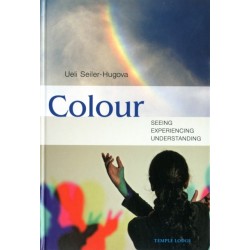 Colour: Seeing, Experiencing, Understanding