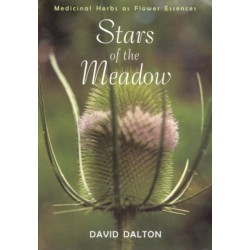 Stars of the Meadow: Medicinal Herbs as Flower Essences