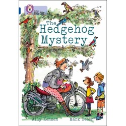 The Hedgehog Mystery: Band 16/Sapphire