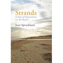 Strands: A Year of Discoveries on the Beach
