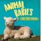 Animal Babies: On the Farm