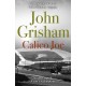 Calico Joe: The unforgettable family drama from the number 1 Sunday Times bestselling author