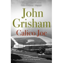 Calico Joe: The unforgettable family drama from the number 1 Sunday Times bestselling author