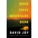 When These Mountains Burn: The literary crime thriller from the prizewinning master of American noir fiction