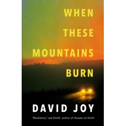When These Mountains Burn: The literary crime thriller from the prizewinning master of American noir fiction