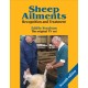 Sheep Ailments: Recognition and Treatment