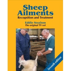Sheep Ailments: Recognition and Treatment