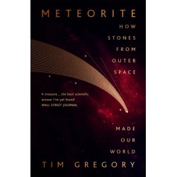 Meteorite: How Stones From Outer Space Made Our World