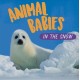 Animal Babies: In the Snow