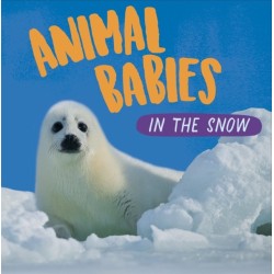 Animal Babies: In the Snow