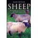Sheep – The remarkable story of the humble animal that built the modern world.: The Remarkable Story of the Humble Animal That Built the Modern World