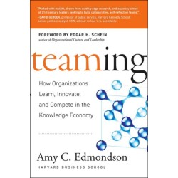 Teaming: How Organizations Learn, Innovate, and Compete in the Knowledge Economy