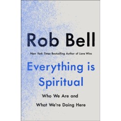 Everything is Spiritual: A Brief Guide to Who We Are and What We're Doing Here