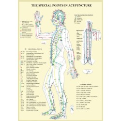Special Points in Acupunture -- A4