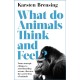 What Do Animals Think and Feel?