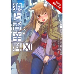Spice and Wolf, Vol 11 - Novel: Side Colors II