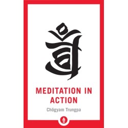 Meditation in Action
